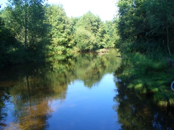 Brüggen